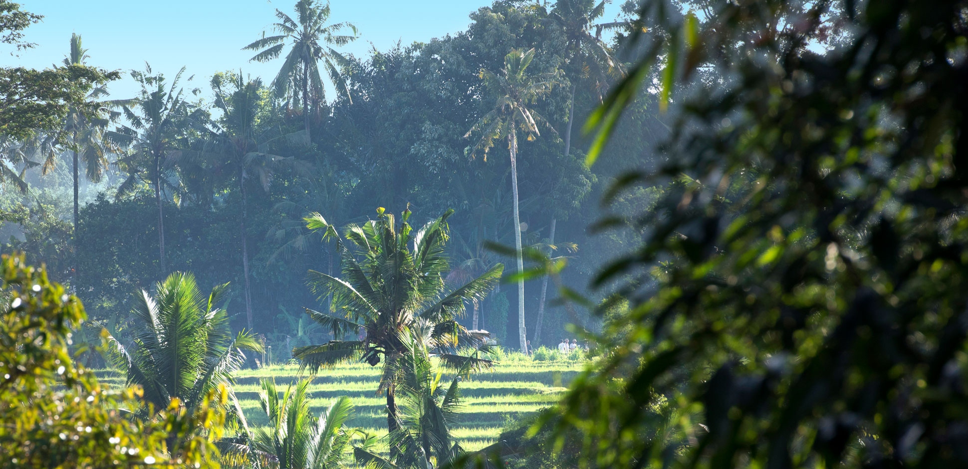 ubud villa rental